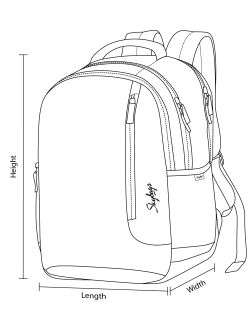 Skybags Backpack