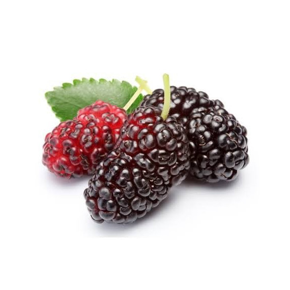 Mulberry - Farm Fresh Mulberry Pack Size 250gm