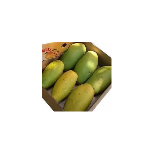 Dasheri Mango : 20pcs / 5kg