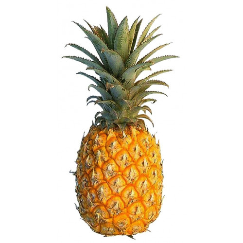SWEET MINI PINEAPPLE GIFT BOX : 3KG