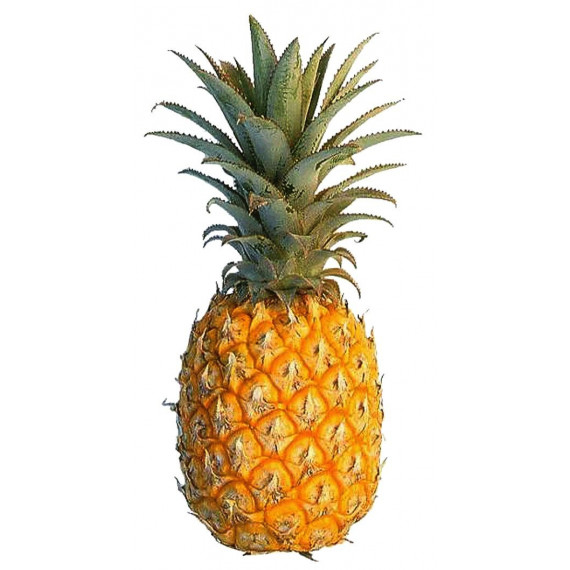 SWEET MINI PINEAPPLE GIFT BOX : 3KG