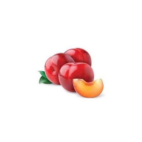 RED PLUM - ALUBUKHAR GIFT BOX : 3KG