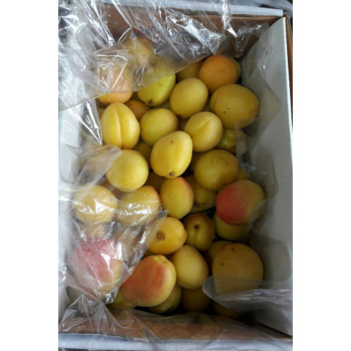 Apricot Fruit Box : 24 pcs