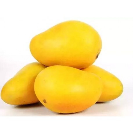 NILAM MANGO : 5KG / 20 PCS
