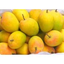 ALPHONSO MANGO - SUPER QUALITY - MEDIUM SIZE : 1 DOZEN