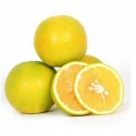 SWEET JUNA BAAR MINI MOSAMBI : 1 DOZEN