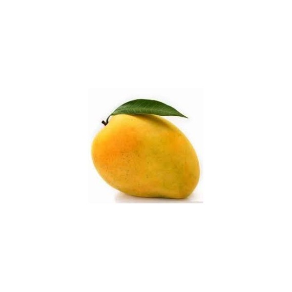SHAHI MANGO - HEAVENLY TASTE - KING SIZE : 1DOZEN