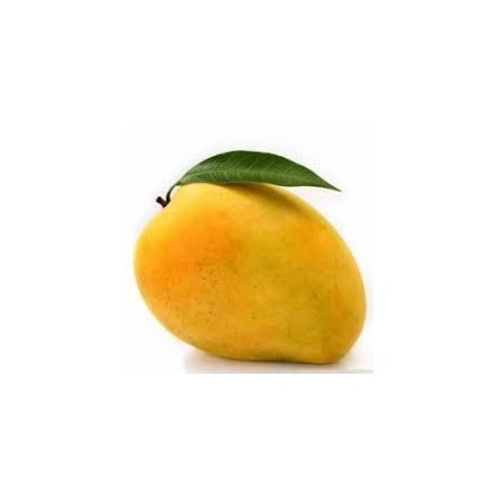 SHAHI MANGO - HEAVENLY TASTE - KING SIZE : 2 DOZEN