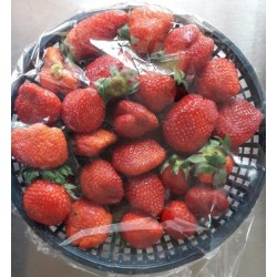Strawberry 1kg