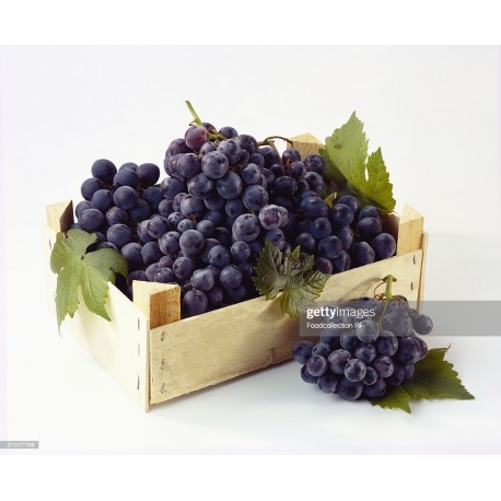 SWEET BLACK GRAPES BOX : 5KG