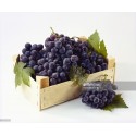 SWEET BLACK GRAPES BOX : 500GM X 10 PKTS