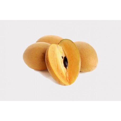 SWEET BIG CHIKU GIFT BOX : 3KG