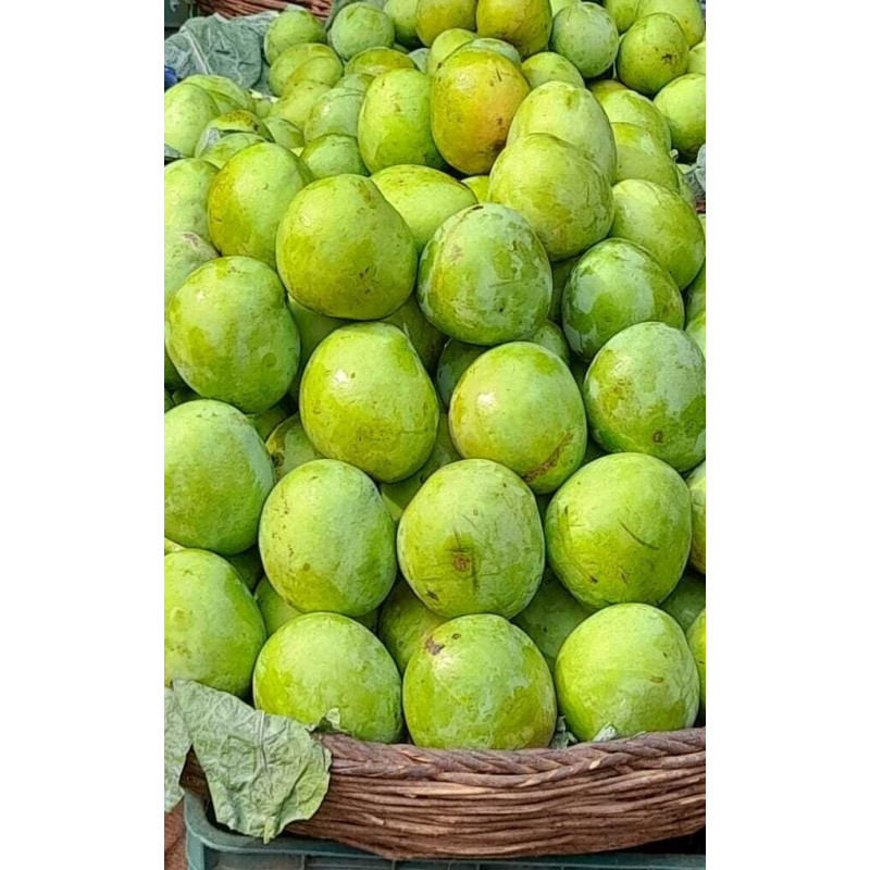 Raw Mango Online Pune Kairi in Pune 1kg Raw Mango Price in Pune