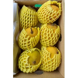 ALPHONSO MANGO GIFT BOX : 6 PCS