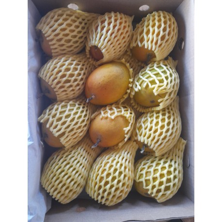 ALPHONSO MANGO GIFT BOX : 12 PCS