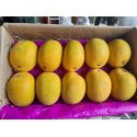 DEVGAD MANGO - JUMBO SIZE : 10 PCS