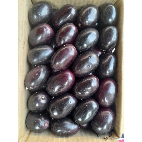 JAMUN FRUIT BOX : 1KG