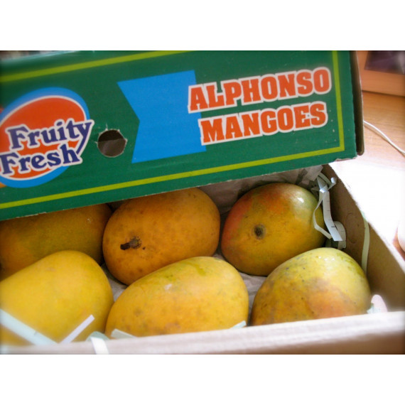 RATNAGIRI ALPHONSO MANGO - MEDIUM SIZE : 2 DOZEN