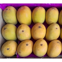 DEVGAD MANGO - SMALL SIZE : 2.5 DOZEN