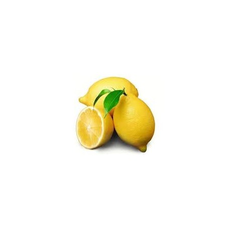 ITALIAN LEMONS  : PACK OF 12 PCS