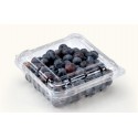 BLUEBERRY FRUIT BOX : 125 GM X 4 PKTS