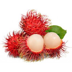 THAI RAMBUTAN FRUIT : 1KG