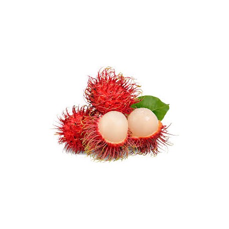 SWEET THAI RAMBUTAN FRUIT : 1KG