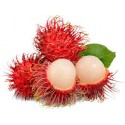 RAMBUTAN - THAI LITCHI FRUIT : 1KG