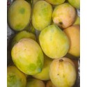 SWEET BIG RAJAPURI MANGO : 6 PCS