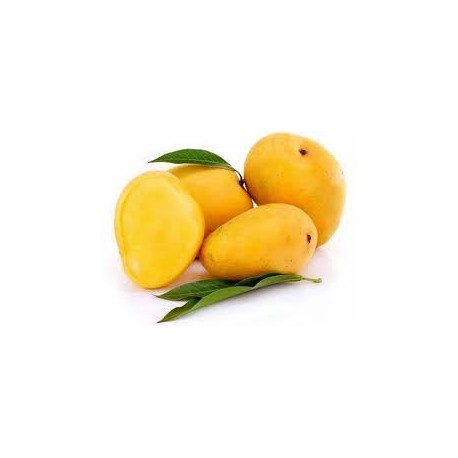 BANGANAPALLE MANGO BOX : 6PCS
