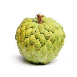 CUSTARD APPLE GIFT BOX : 3KG