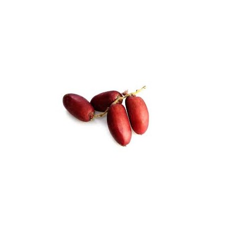 RED DATES FRUIT  BOX : 5KG