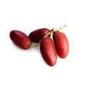 RED DATES FRUIT  BOX : 3KG