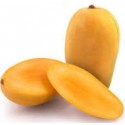 GUJARAT GIR KESAR MANGO : 1 DOZEN