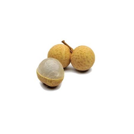 LONGAN LITCHI FRUIT : 1KG