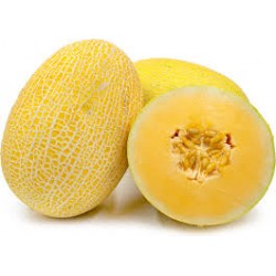 HONEYDEW MELON : 1KG