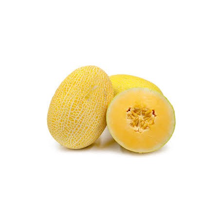 HONEYDEW MELON : 1KG