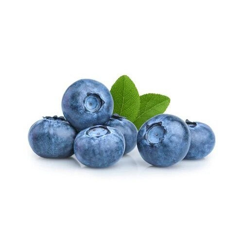 BLUEBERRY FRUIT BOX : 125 GM X 4 PKTS
