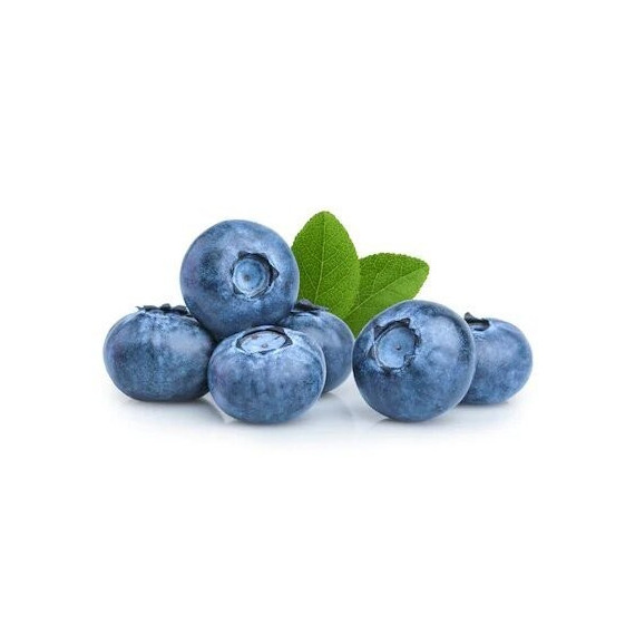 BLUEBERRY FRUIT BOX : 125 GM X 4 PKTS