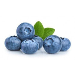 BLUEBERRY FRUIT BOX : 125 GM X 4 PKTS