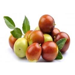 SWEET BIG APPLE BER : 1KG