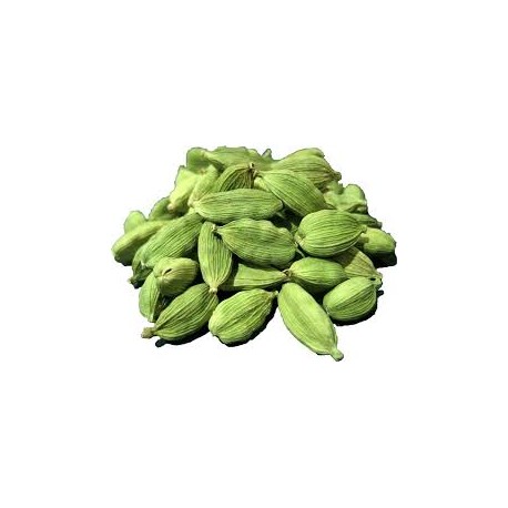 FRESH GREEN CARDAMOM - ELAICHI : 1KG