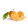 MANDARIN MINI ORANGES : 1KG