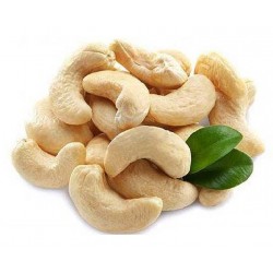 CASHEW NUTS W240 : 1KG