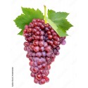 SWEET CHAMPAGNE GRAPES : 1KG