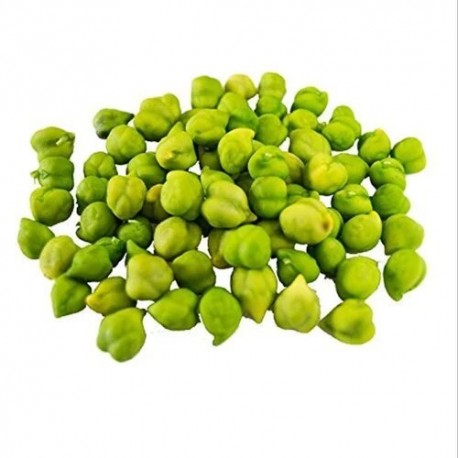 ORGANIC FRESH GREEN HARBARA PACK : 500GM