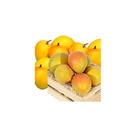 MALAWI MANGOES BOX : 12 PCS