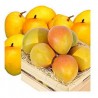 MALAWI MANGOES BOX : 12 PCS