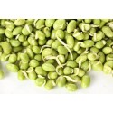 FRESH GREEN LIMA BEANS : 1KG