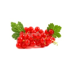 RED CURRANT FRUIT : 125 GM